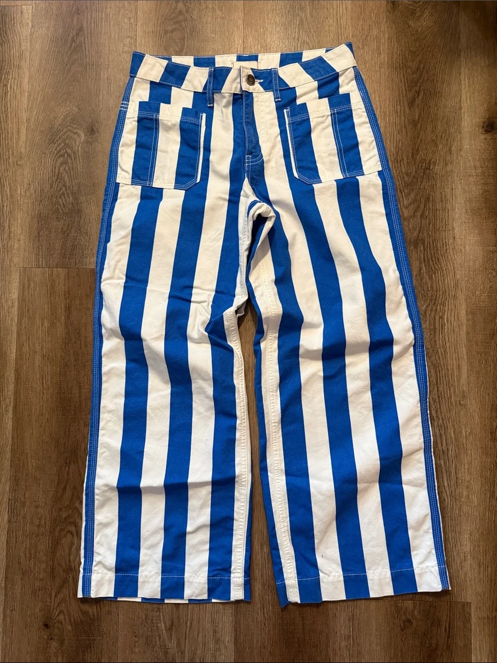 Urban Outfitters BDG Eva Canvas Wide Leg Crop Pant Blue Striped Pants Size 27 - Picture 4 of 15